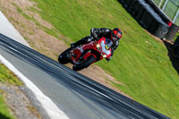 Oulton-Park-20th-March-2020;PJ-Motorsport-Photography-2020;anglesey;brands-hatch;cadwell-park;croft;donington-park;enduro-digital-images;event-digital-images;eventdigitalimages;mallory;no-limits;oulton-park;peter-wileman-photography;racing-digital-images;silverstone;snetterton;trackday-digital-images;trackday-photos;vmcc-banbury-run;welsh-2-day-enduro